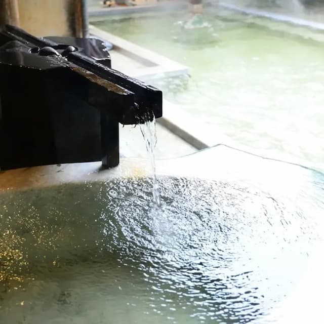 石亭飯店 熱海｜熱海溫泉-貴賓室 弓ヶ浜Yumigahama 庭園景和室【不挑房】-6