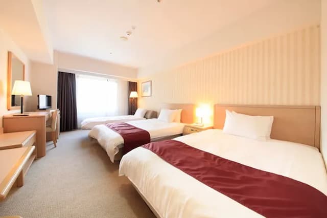 Deluxe twin (triple specification