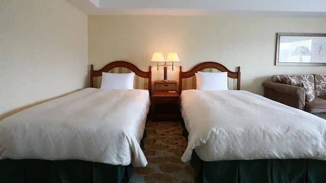 [Deluxe Twin 46 sqm] 2 beds (bed width 120 cm)