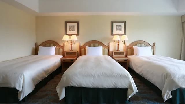 [Triple room 46 sqm] 3 beds (bed width 110 cm)