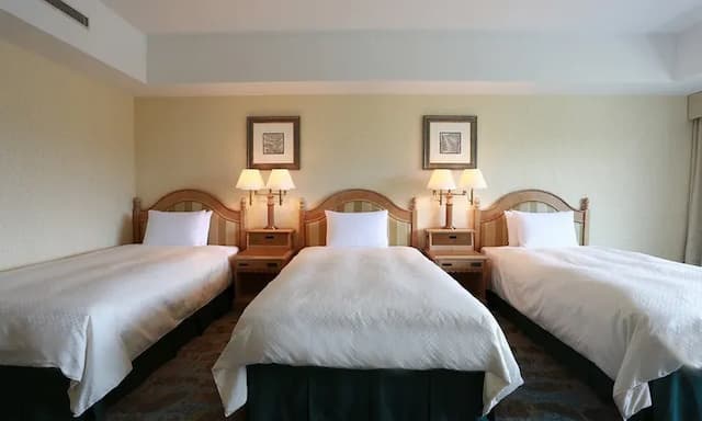 Hotel Associa Takayama Resort-Standard Triple Room 46 to 50 Sq M-2