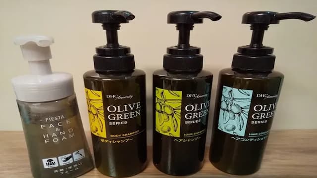 溫泉飛驒高山 Route-Inn Grantia 飯店｜高山站開車10分/三町古建築保存區開車10分/免費車站接送服務-小雙人房【不挑房】-2