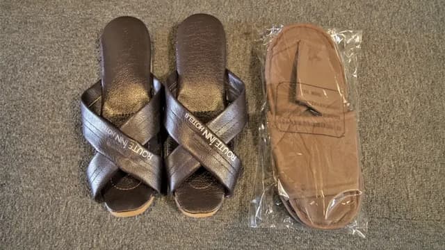 溫泉飛驒高山 Route-Inn Grantia 飯店｜高山站開車10分/三町古建築保存區開車10分/免費車站接送服務-小雙人房【不挑房】-8