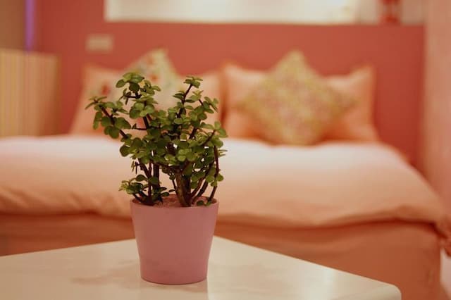 宜蘭羅東夜市迷彩民宿-粉雙人房-5