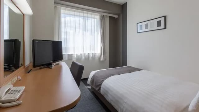Comfort Hotel Gifu-Superior Single Room with Breakfast-1