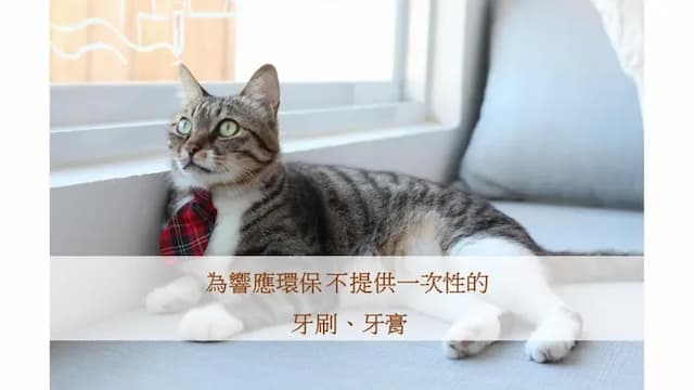 Cat at Greece-Double Room with Sea View and Balcony-2