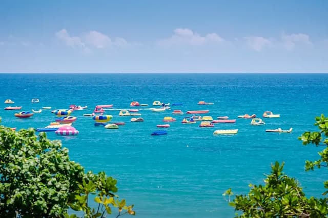 Cat at Greece-Double Room with Sea View and Balcony-15