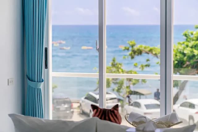 Cat at Greece-Deluxe Double Room with Sea View and Balcony-10