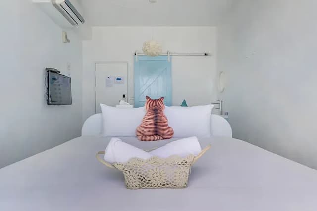 Cat at Greece-Deluxe Double Room with Sea View and Balcony-4