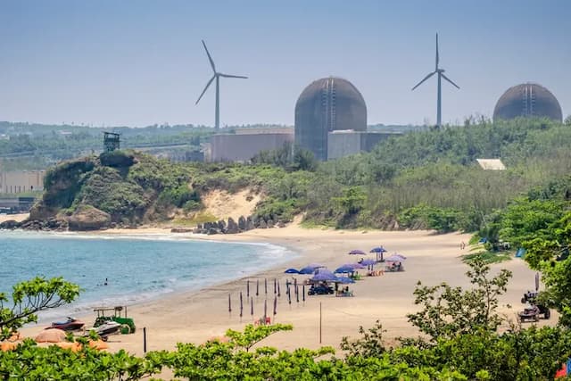Cat at Greece-King Room with Sea View and Balcony-15