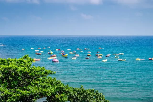 Cat at Greece-Quadruple Room with Sea View and Balcony-15