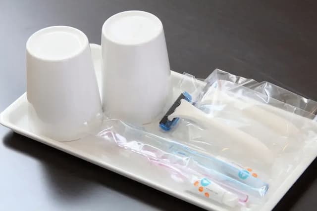 アートホテル新潟駅前-デラックスツイン-4