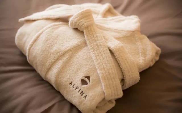 飛驒高山Alpina溫泉飯店｜高山站徒歩3分/高山陣屋徒歩5分-豪華雙人房｜附腿部按摩機【不挑房】-6