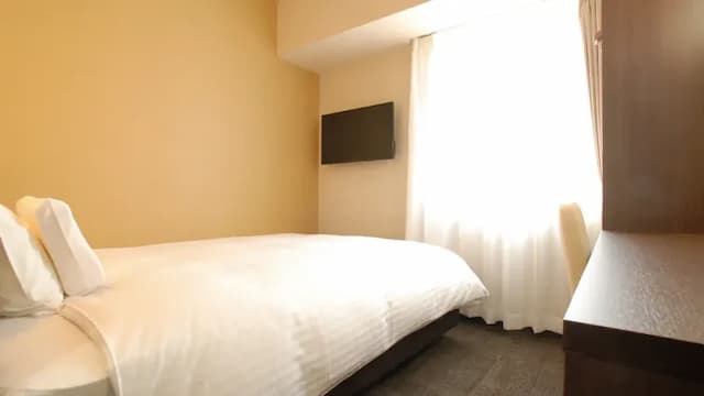 AB飯店 岐阜｜岐阜站徒歩5分/岐阜城開車9分-單人房B【不挑房】-1