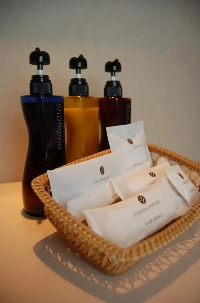 ルークプラザホテル-コンフォートツイン ガーデンビュー-4