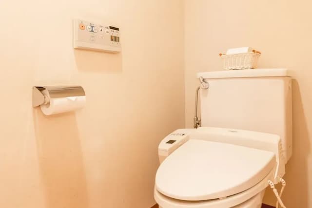 Room_River side 12 tatami mats_Toilet