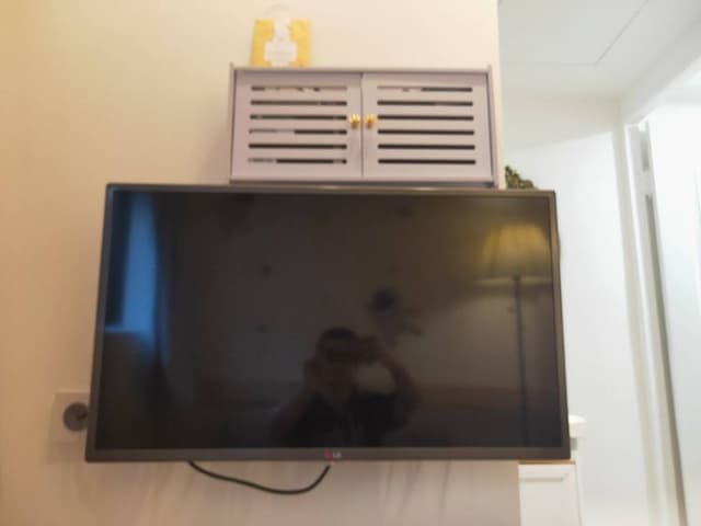 black kitten BNB-Suite 402 Double (We are moving to a new address, please be sure to contact us in Garay)-4