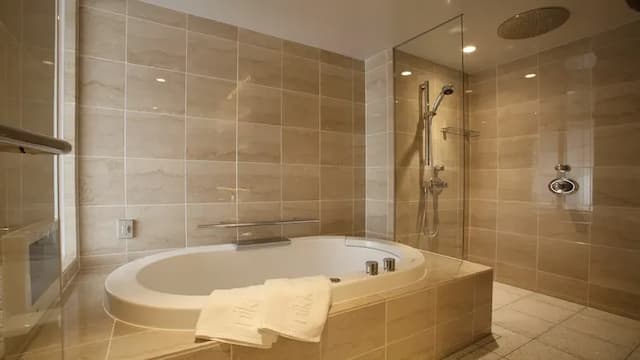 Luxe deluxe/bathroom example