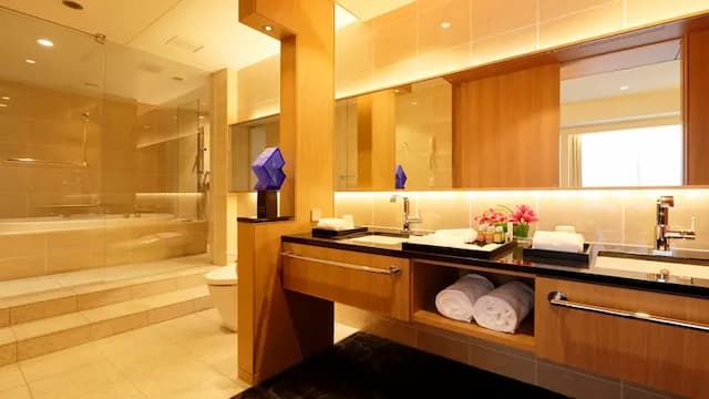 Luxe deluxe/bathroom example