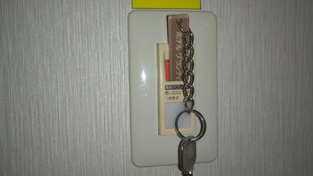 Please insert the key into the power key box installed on the wall in the guest room. This room does not support auto lock.