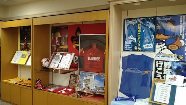 Route-Inn Grantia Komatsu Airport-Standard Semi-Double Room Non-Smoking-6