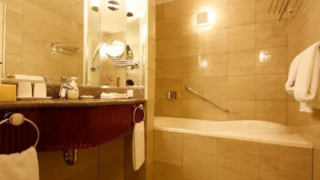 高山綠色飯店｜高山站徒歩6分/飛驒之里開車5分-本館｜豪華雙床房【不挑房】-2