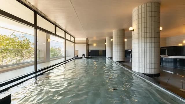 越後湯澤溫泉 NASPA 新大谷飯店｜越後湯澤站開車4分-和室【不挑房】-3