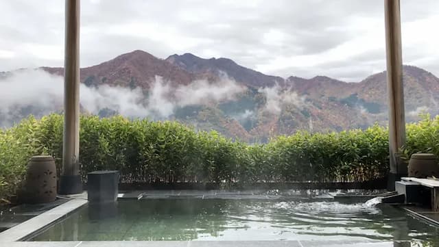 越後湯沢温泉　水が織りなす越後の宿　双葉-和室-3