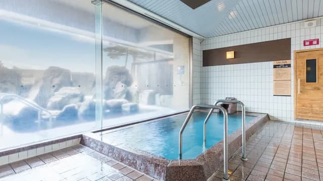 APA飯店&度假村 上越妙高｜妙高溫泉/無邊際泳池/滑雪-本館 雙床房【不挑房】-6