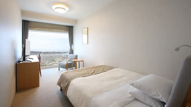 Deluxe single/semi-double 23 square meters (example)