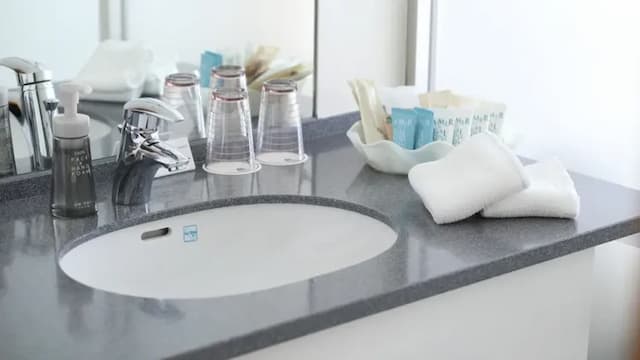 新潟日航飯店｜新潟站開車5分/近朱鷺展覽館渡輪碼頭-奢華雙床房【不挑房】-4