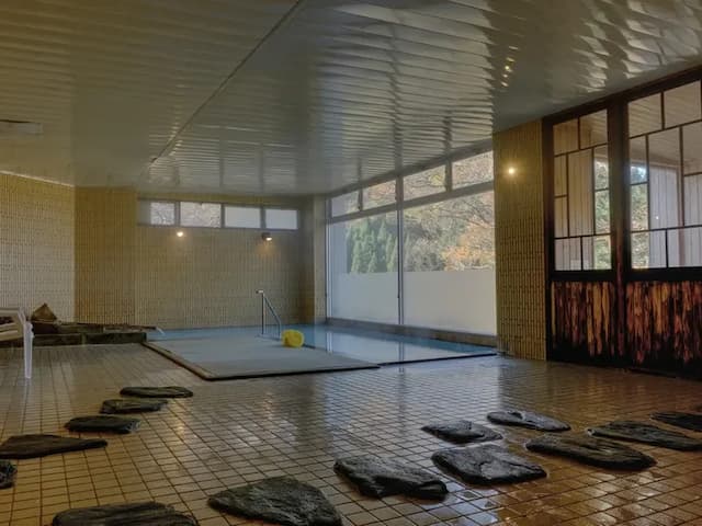 越後湯澤湯元 卵之湯 雪國之宿 高半｜越後湯澤站開車5分/自行車租借-東館高層階 和室【不挑房】-5