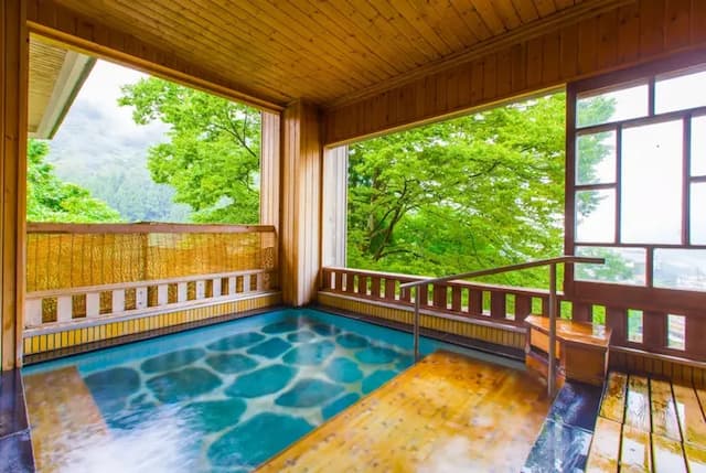 越後湯澤湯元 卵之湯 雪國之宿 高半｜越後湯澤站開車5分/自行車租借-東館高層階 和室【不挑房】-4