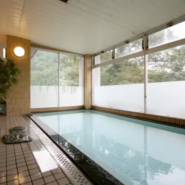 越後湯澤湯元 卵之湯 雪國之宿 高半｜越後湯澤站開車5分/自行車租借-南館 山景一般樓層和室【不挑房】-3