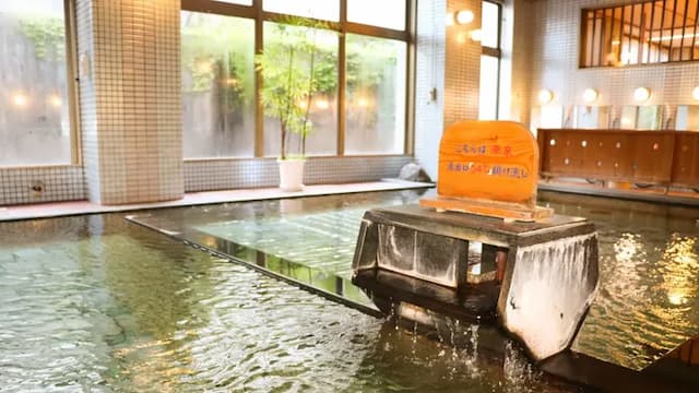 越後湯澤溫泉 越後之宿 Inamoto｜越後湯澤站步行2分-標準雙床房:附淋浴間【不挑房】-5