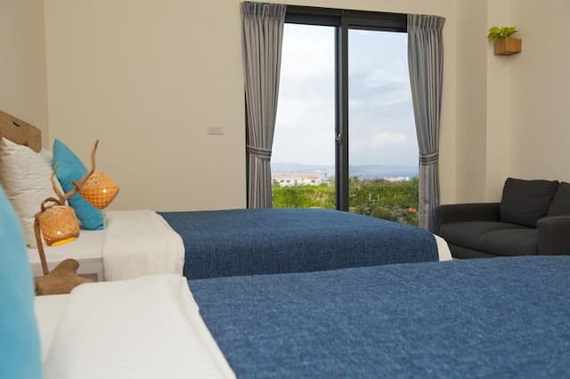 有棵樹特色民宿-藍雪四人房-3