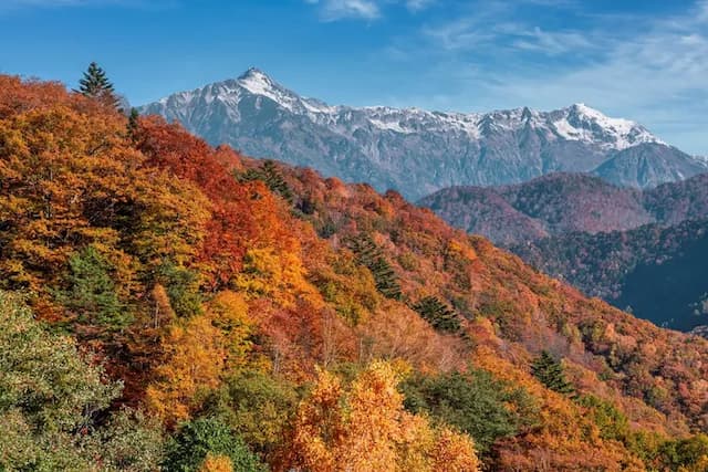 【星野集團】界 奥飛驒｜高山站開車45分/上高地開車20分-RA3: 西式房附露天浴池｜3人【不挑房】-5