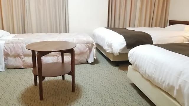 富山格蘭露台飯店｜富山站徒歩7分/富山城徒步11分-三人房【不挑房】-1