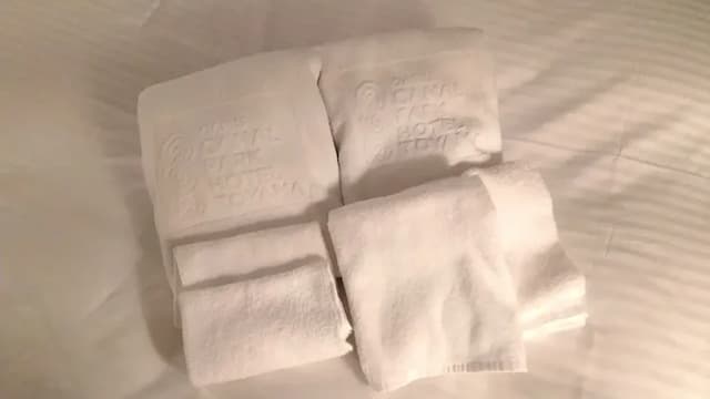 富山奧克斯運河公園飯店｜富山站徒歩2分/富山城址公園徒步7分-高級雙床房【不挑房】-6