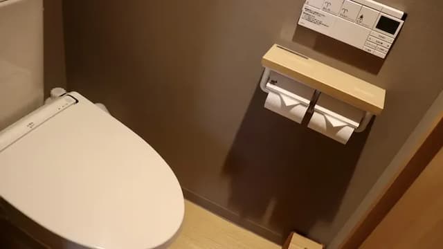 富山剱之湯 御宿野乃｜富山站徒步15分/富山城址公園徒步4分-雙床房(無浴缸)【不挑房】-3