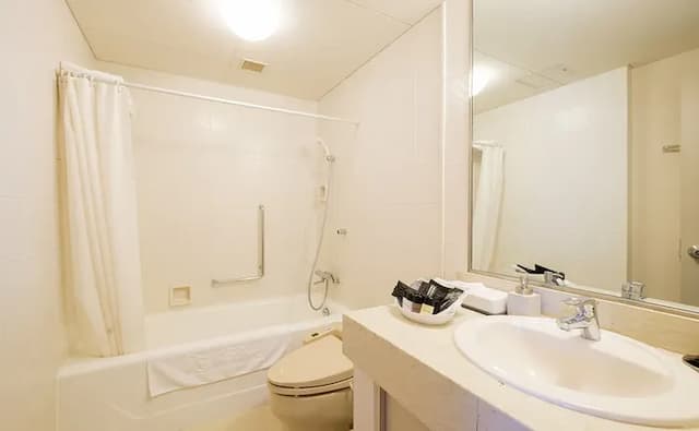 高岡新大谷飯店｜高岡站徒歩5分/高岡古城公園徒歩10分-豪華雙床房【不挑房】-4