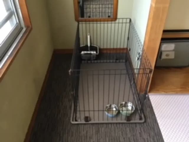 [Wamirei] 20 square meters + wide veranda, dogs allowed