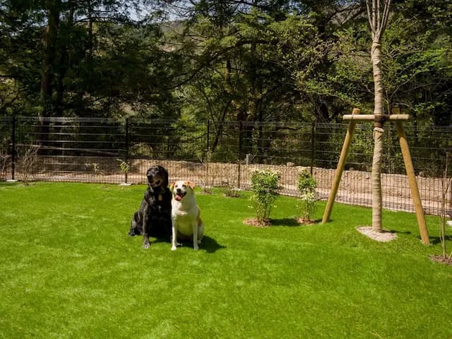 【ドッグラン】のびのび楽しめる広いドッグラン付き