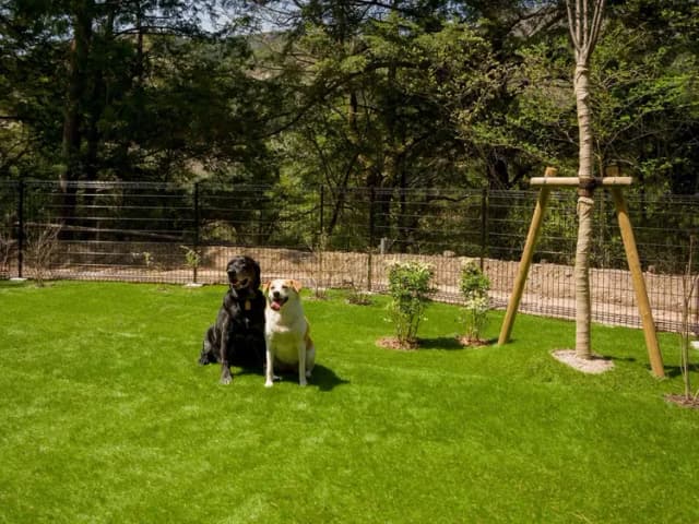 【ドッグラン】のびのび楽しめる広いドッグラン付き