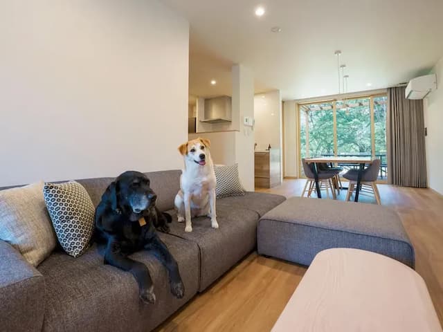【リビング】ワンちゃんと一緒に寛げる空間。