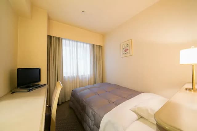 德島華盛頓廣場飯店｜德島站徒步15分/阿波舞會館徒步5分-單人房【不挑房】-2