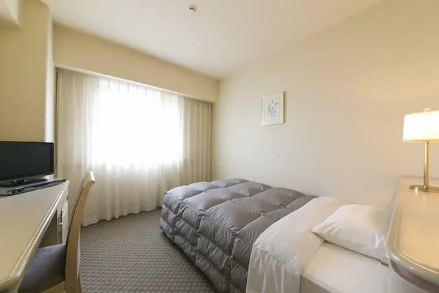 德島華盛頓廣場飯店｜德島站徒步15分/阿波舞會館徒步5分-單人房【不挑房】-1