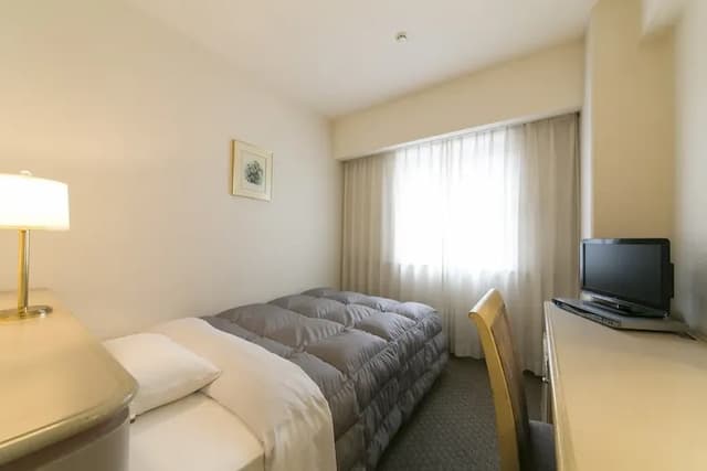 德島華盛頓廣場飯店｜德島站徒步15分/阿波舞會館徒步5分-單人房【不挑房】-1