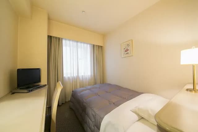 德島華盛頓廣場飯店｜德島站徒步15分/阿波舞會館徒步5分-單人房【不挑房】-1