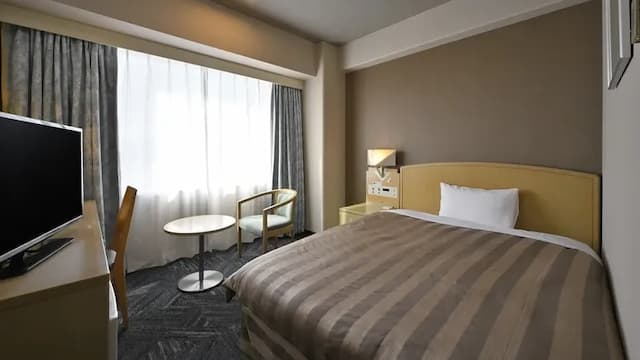 德島格蘭維羅飯店｜阿波富田站徒歩9分/德島城跡開車6分-單人房【不挑房】-1